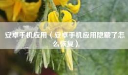 安卓手机应用（安卓手机应用隐藏了怎么恢复）
