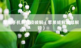 苹果手机屏幕锁破解（苹果破解屏幕解锁）