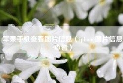 苹果手机查看图片信息（iphone图片信息查看）