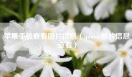 苹果手机查看图片信息（iphone图片信息查看）