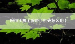 腕带手机（腕带手机壳怎么用）