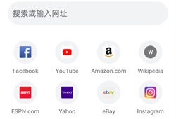 chrome浏览器手机版chrome手机版「chrome浏览器手机版」