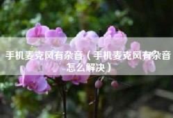 手机麦克风有杂音（手机麦克风有杂音怎么解决）