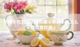 苹果手机怎么关闭位置（苹果手机怎么关闭位置权限）