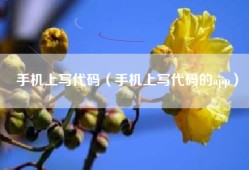 手机上写代码（手机上写代码的app）