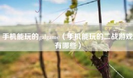 手机能玩的galgame（手机能玩的二战游戏有哪些）