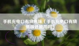 手机充电口有烧焦味（手机充电口有烧焦味还能用吗）