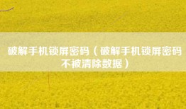 破解手机锁屏密码（破解手机锁屏密码不被清除数据）