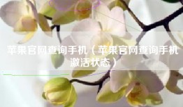 苹果官网查询手机（苹果官网查询手机激活状态）