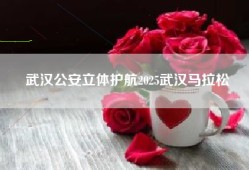 武汉公安立体护航2025武汉马拉松