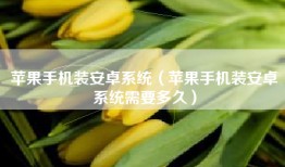 苹果手机装安卓系统（苹果手机装安卓系统需要多久）