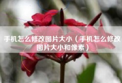 手机怎么修改图片大小（手机怎么修改图片大小和像素）
