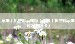 苹果手机登陆qq邮箱（苹果手机登陆qq邮箱怎么退出）