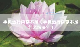 手机运行内存不足（手机运行内存不足怎么解决？）