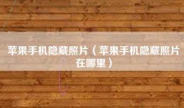 苹果手机隐藏照片（苹果手机隐藏照片在哪里）