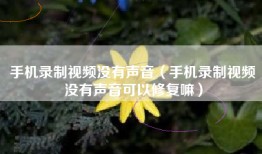 手机录制视频没有声音（手机录制视频没有声音可以修复嘛）