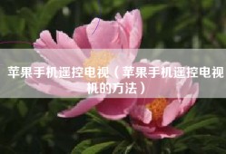 苹果手机遥控电视（苹果手机遥控电视机的方法）