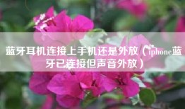 蓝牙耳机连接上手机还是外放（iphone蓝牙已连接但声音外放）