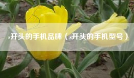 s开头的手机品牌（s开头的手机型号）