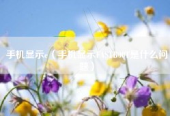 手机显示e（手机显示FASTB00T是什么问题）