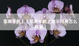 苹果手机上（苹果手机上显示月亮怎么取消）