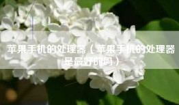 苹果手机的处理器（苹果手机的处理器是最好的吗）
