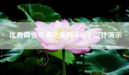 优秀商业可视化大屏（BI）设计演示