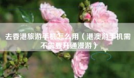 去香港旅游手机怎么用（港澳游手机需不需要开通漫游）