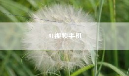 91视频手机