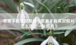 苹果手机实况照片（苹果手机实况照片怎么选定一张照片）