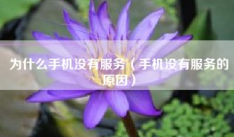 为什么手机没有服务（手机没有服务的原因）