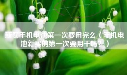 新买手机电池第一次要用完么（手机电池新买的第一次要用干吗？）