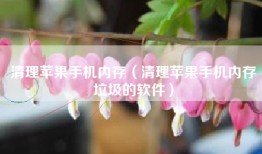 清理苹果手机内存（清理苹果手机内存垃圾的软件）