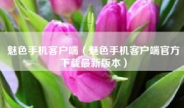 魅色手机客户端（魅色手机客户端官方下载最新版本）