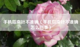 手机指南针不准确（手机指南针不准确怎么回事）