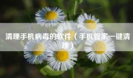 清理手机病毒的软件（手机管家一键清理）