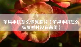 苹果手机怎么恢复照片（苹果手机怎么恢复照片没有备份）