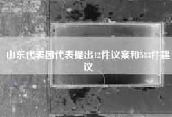 山东代表团代表提出12件议案和583件建议