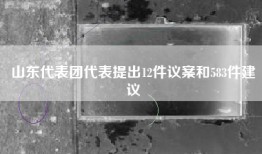 山东代表团代表提出12件议案和583件建议