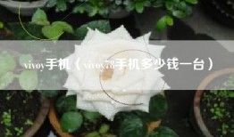 vivoy手机（vivoy78手机多少钱一台）