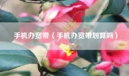 手机办宽带（手机办宽带划算吗）