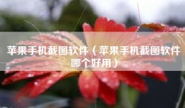 苹果手机截图软件（苹果手机截图软件哪个好用）