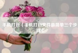 手机打包（手机打包文件最简单三个步骤）
