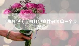 手机打包（手机打包文件最简单三个步骤）