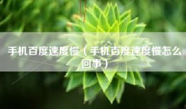 手机百度速度慢（手机百度速度慢怎么回事）