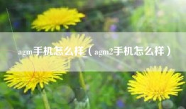 agm手机怎么样（agm2手机怎么样）