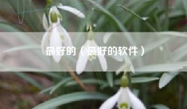 最好的（最好的软件）