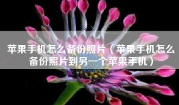 苹果手机怎么备份照片（苹果手机怎么备份照片到另一个苹果手机）