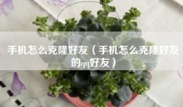 手机怎么克隆好友（手机怎么克隆好友的qq好友）