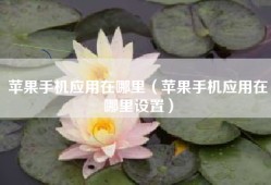 苹果手机应用在哪里（苹果手机应用在哪里设置）